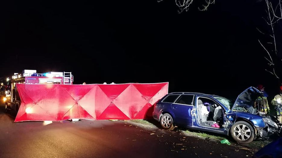 Śmiertelny wypadek w Trzcielu. Audi uderzyło w drzewo.
