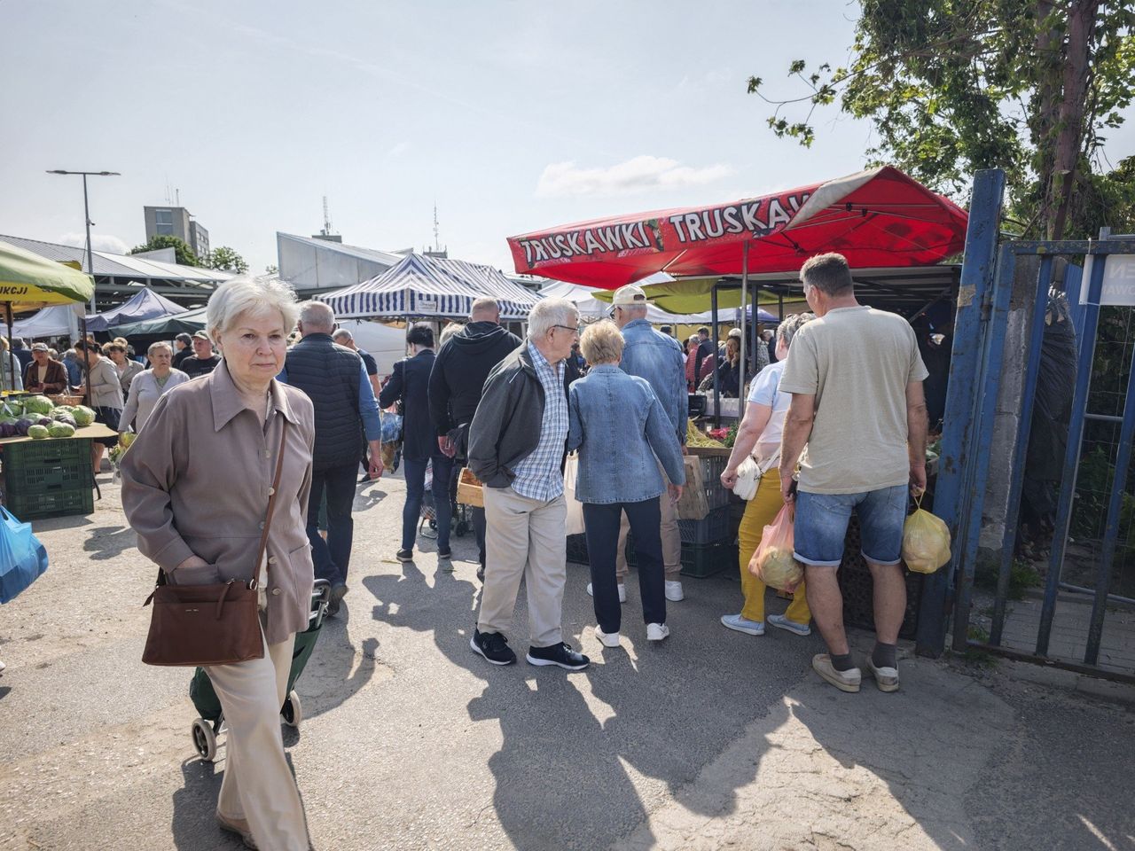 Sprawdziliśmy ceny truskawek na wszystkich targowiskach w Toruniu. Wiemy, gdzie są najtańsze