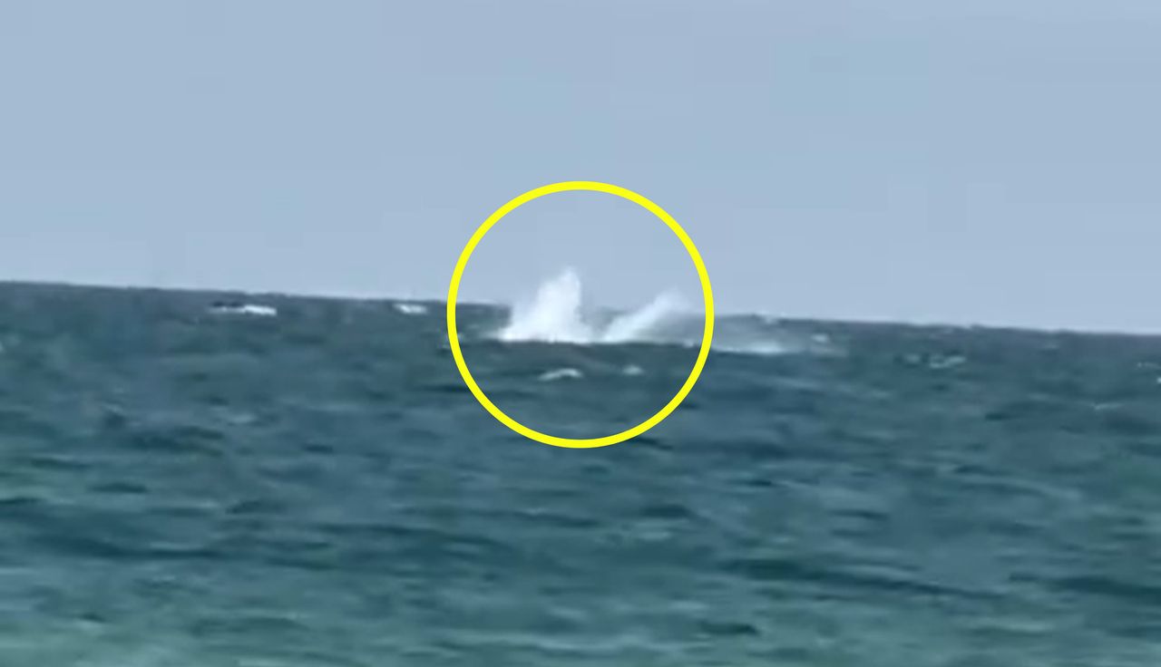 Sensacja nad Bałtykiem. Teraz Niemców ogarnął niepokój