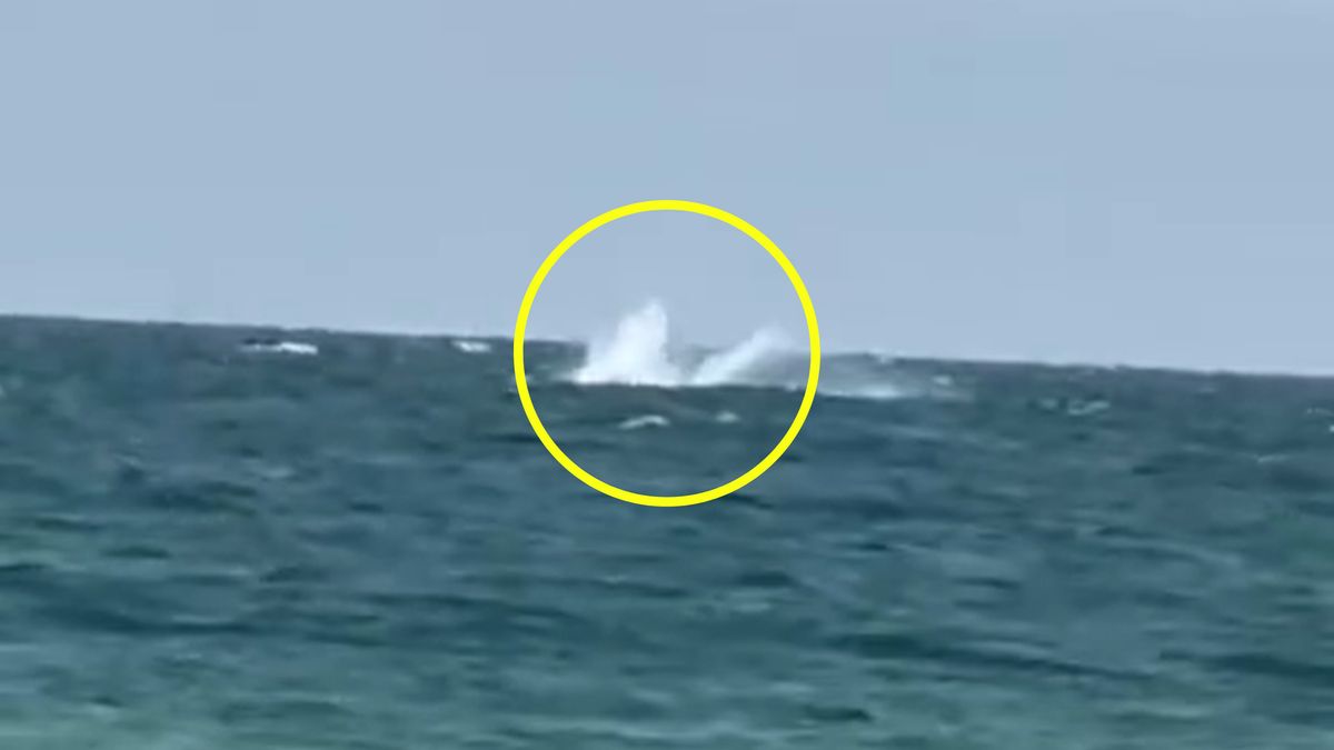 Wywołał sensację. Już nie żyje?