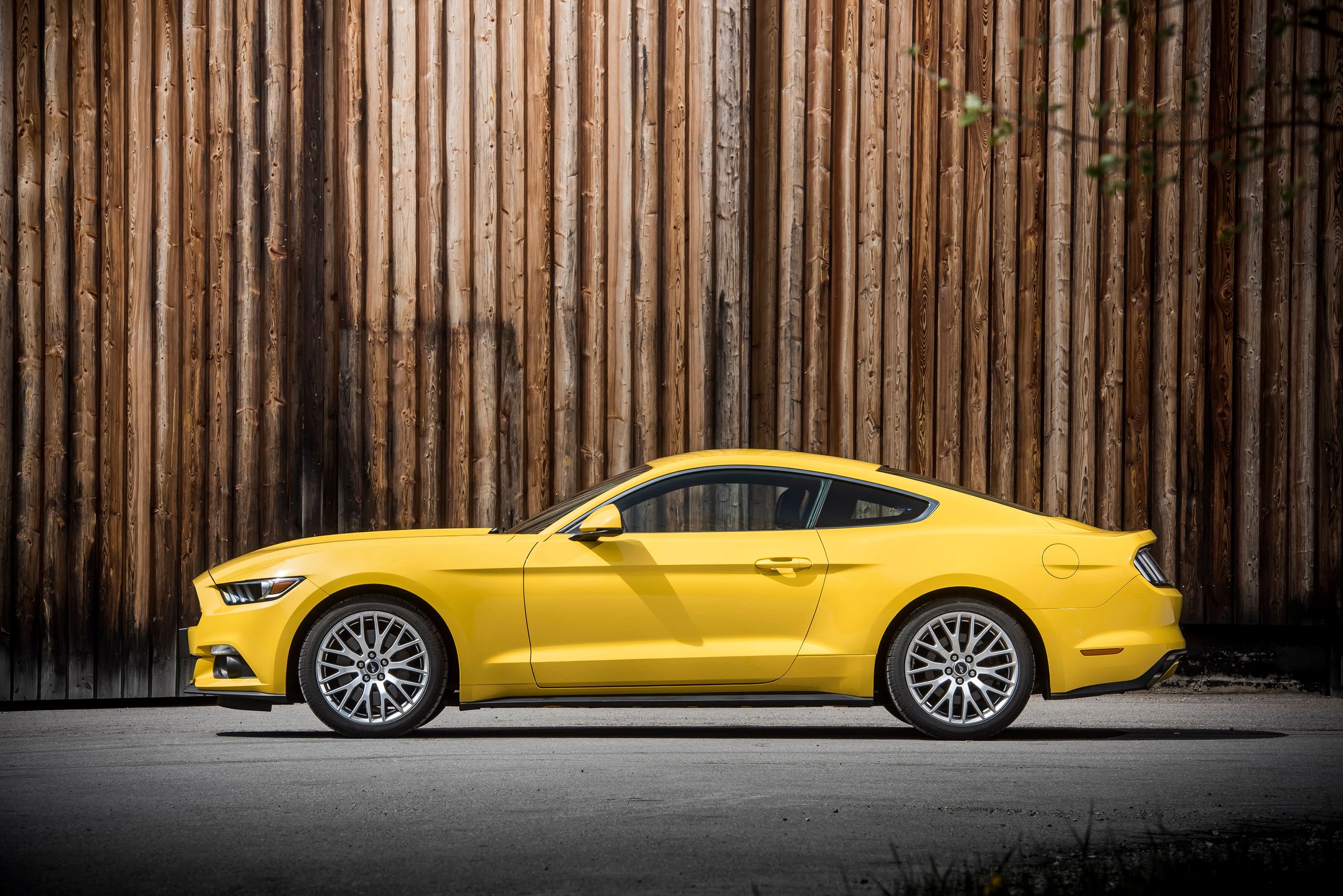 Ford Mustang 8