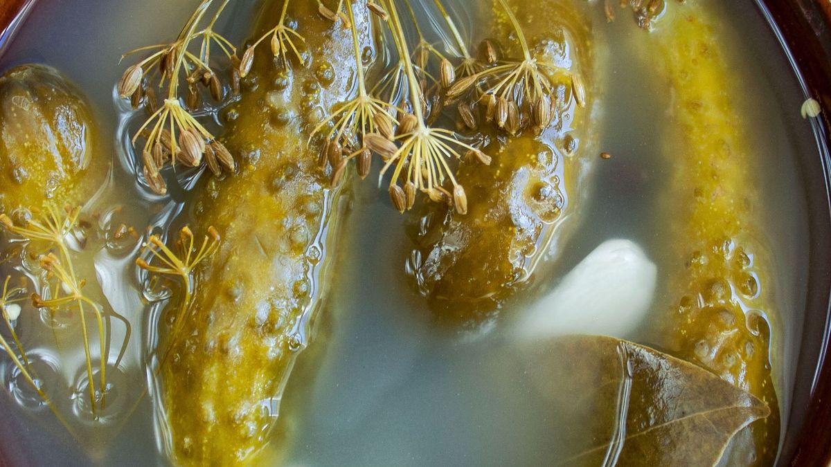 pickled cucumbers in a stoneware dish, pickled cucumbers, fermentation, probiotic, stoneware, preserves, marinade, wooden background, spices, pot, dill, garlic, salt, allspice, cucumbers, vitamin c source, natural medicine, healthy snack, healthy food, natural fermentation, fermented dishes, fabric, jute