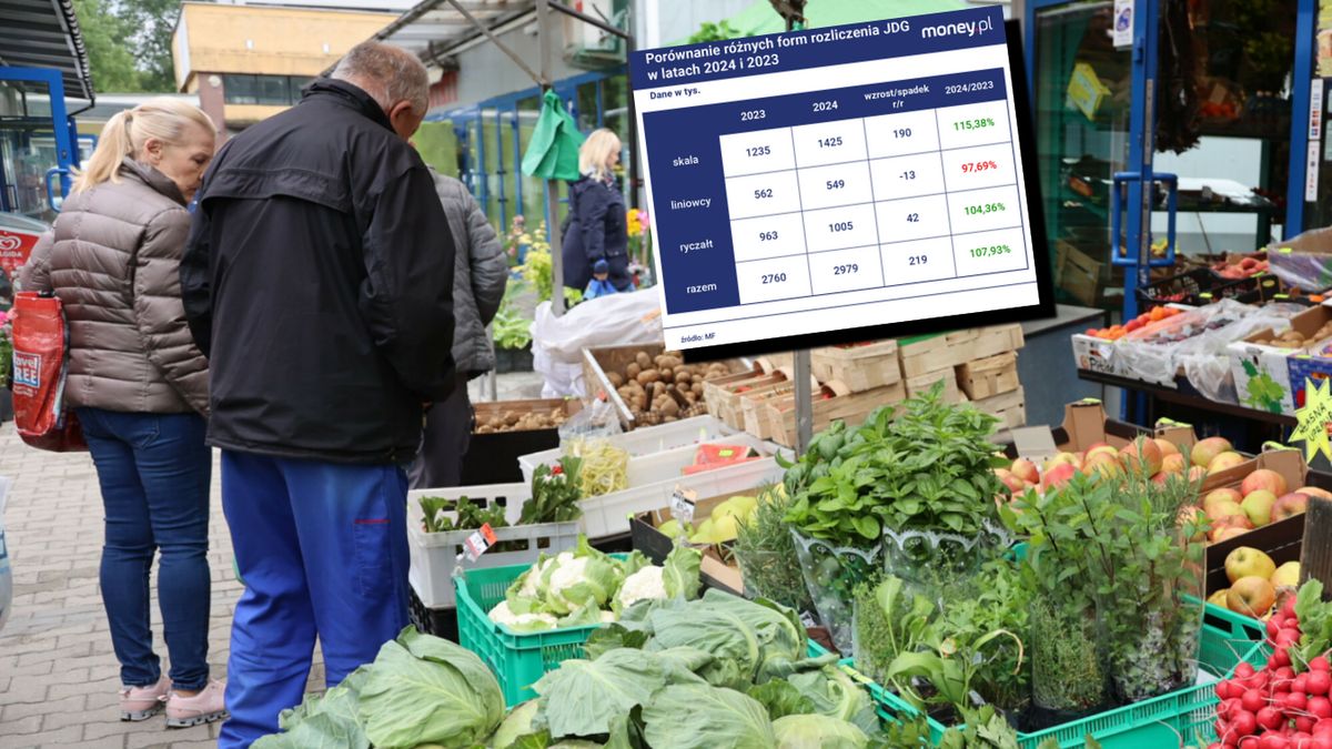 Rośnie liczba małych firm - wynika z danych MF