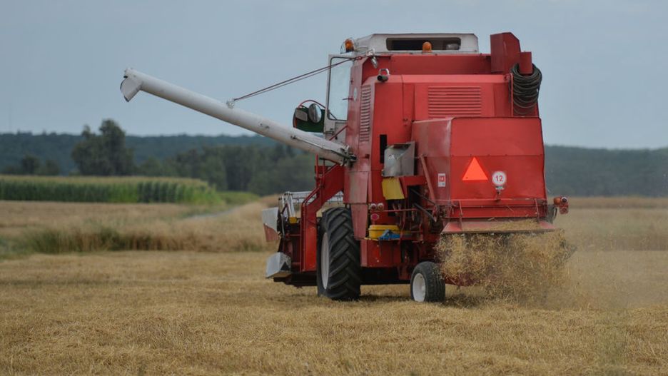 Oto jakie są stawki za prace polowe w 2025 r.