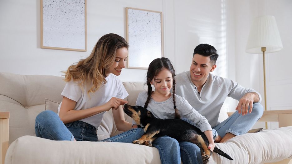 Happy family playing with puppy on sofa in living room