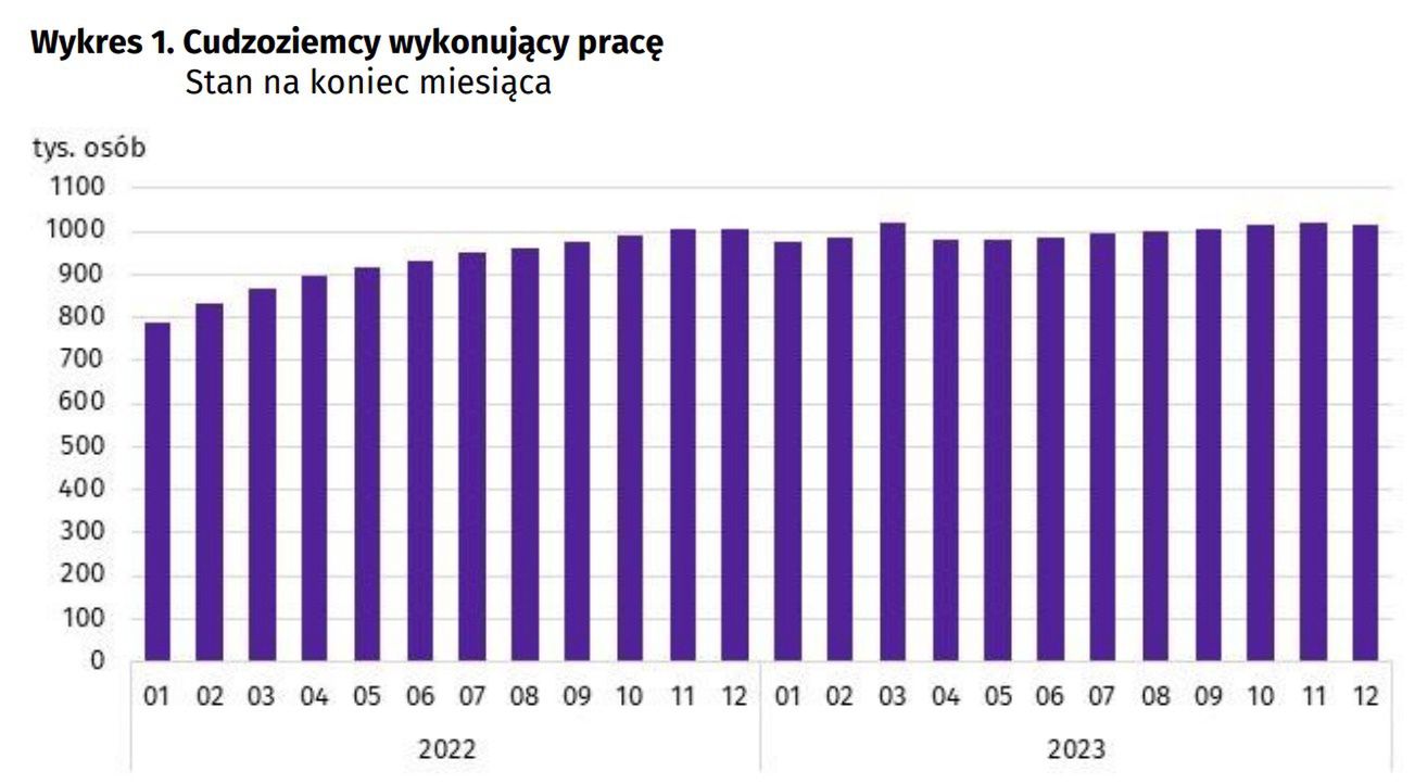 Cudzoziemcy wykonujący pracę
