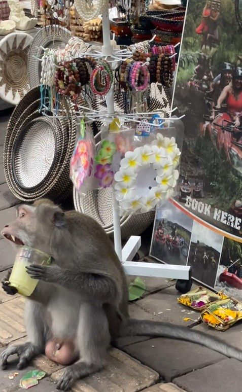 Balijskie wakacje Aleksandry Kwaśniewskiej i Kuby Badacha