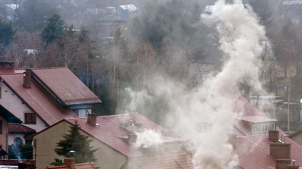 Ekogroszek tylko z nazwy jest "eko" - przekonuje Fundacja ClientEarth