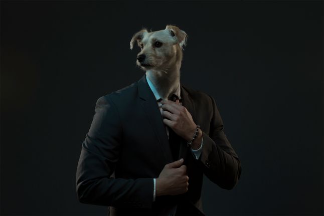 „Reflection of Me” to projekt fotograficzny, na którym możemy zobaczyć abstrakcyjne portrety pso-ludzi. Głowa na zdjęciach należy do konkretnej rasy psa, a ciało odpowiada charakterom zwierząt. Alvarez sięgnął tu do wizualizacji powiedzenia „jaki pan, taki kram”, zaznaczając, że pies upodabnia się do jego właściciela.