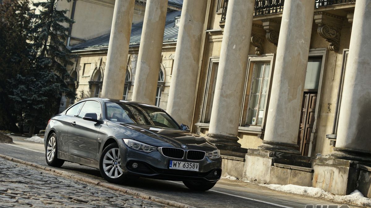 Zdjęcie ilustracyjne do artykułu