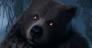 Twórcy Baldur’s Gate 3 zbanowani. Nie ma zgody na romans z niedźwiedziem