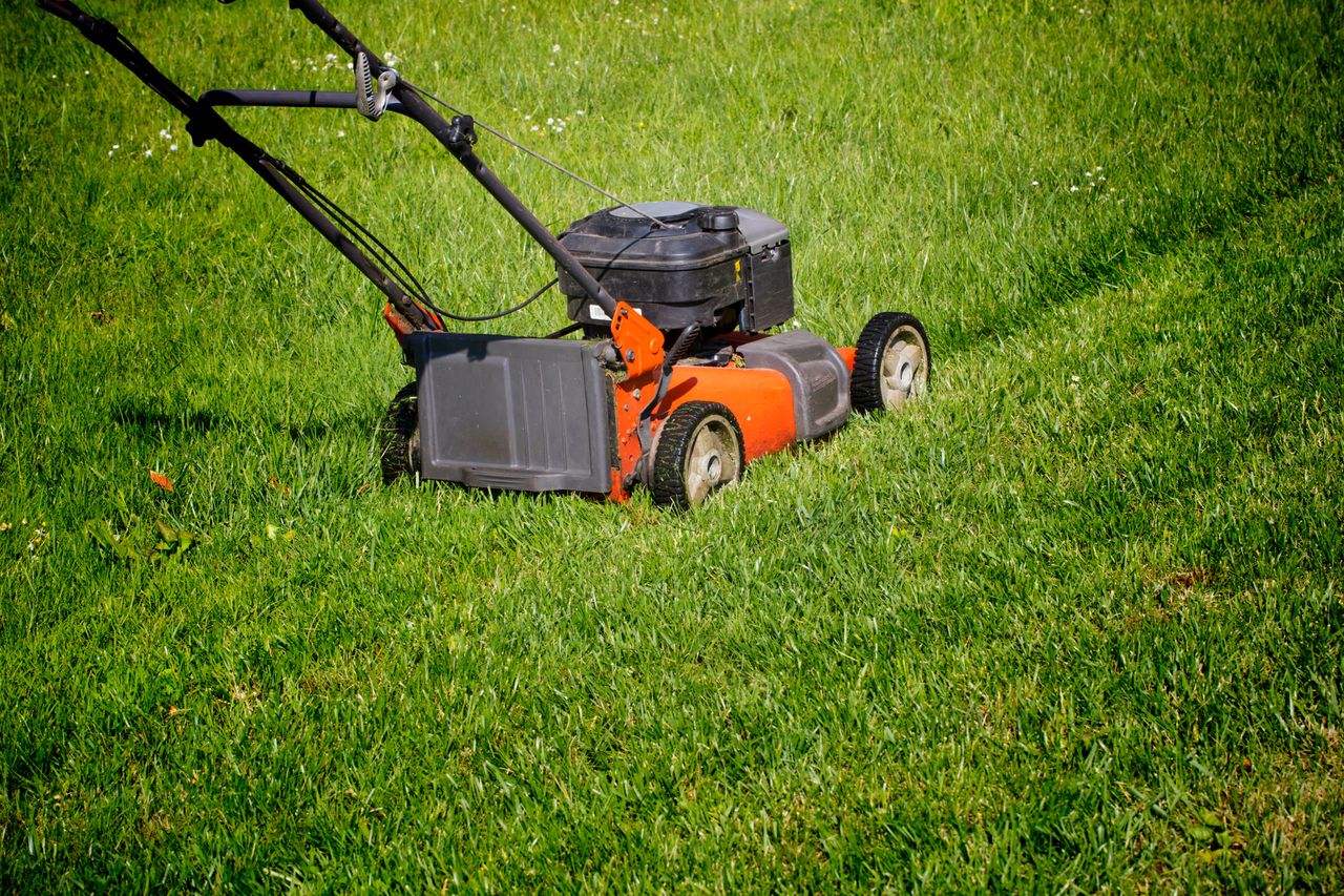 Kiedy ostatni raz skosić trawnik? Ogrodnicy są zgodni