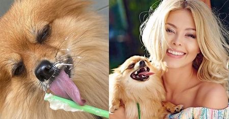 Joanna Opozda karmi psa BITĄ ŚMIETANĄ? (FOTO)