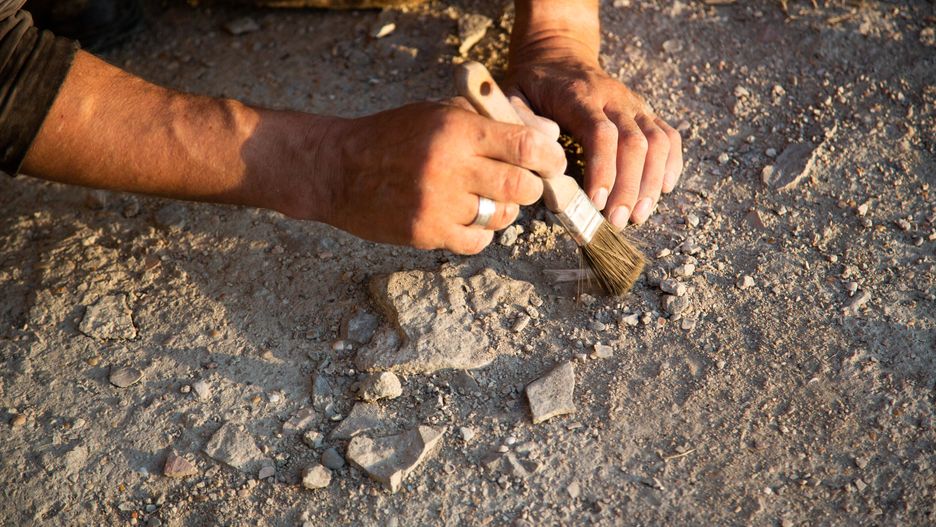 Archeolodzy dokonali niezwykłego odkrycia (zdjęcie ilustracyjne)