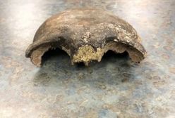 Makabryczne odkrycie sprzed 8 tys. lat w rzece. Kajakarze byli w szoku