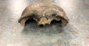 Makabryczne odkrycie sprzed 8 tys. lat w rzece. Kajakarze byli w szoku