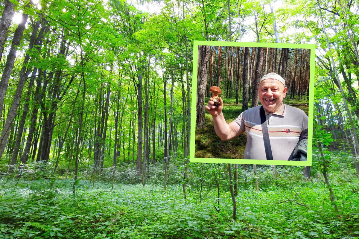 Sezon zainaugurowany. Takie znaleziska w lesie. Leśnicy nie kryją dumy