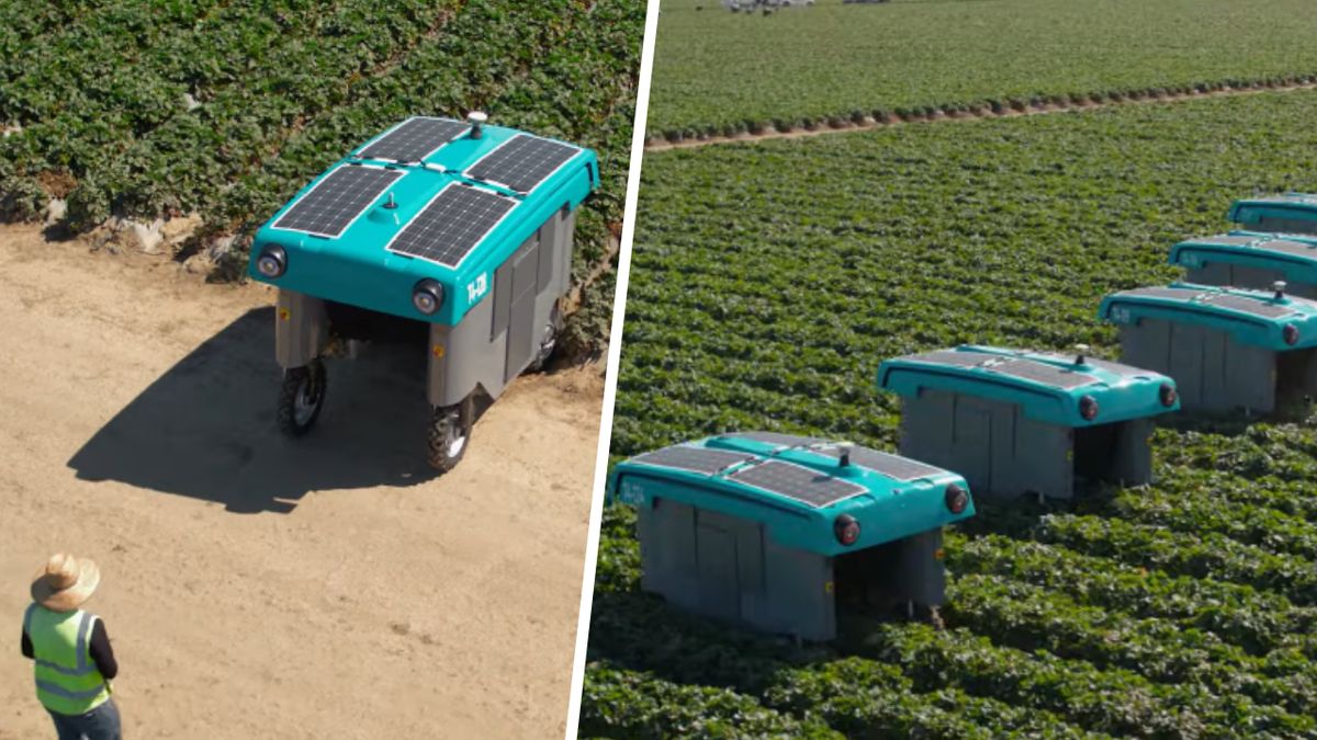 Robot rolniczy Google