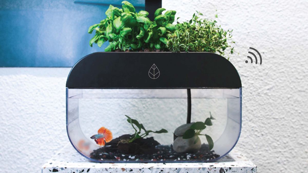 EcoGarden – domowy ogród. Uprawa akwaponiczna, którą obsłużysz smartfonem 1