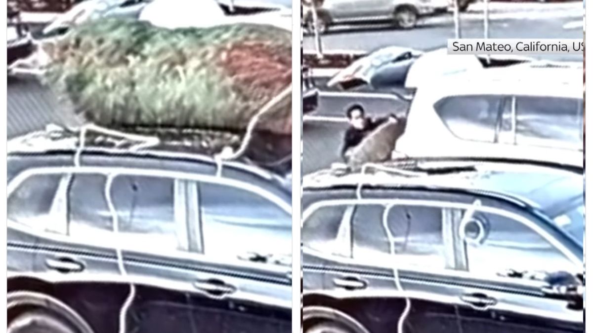 Niebywałe, jakiej kradzieży dokonał mężczyzna w USA. Jego łupem padła choinka