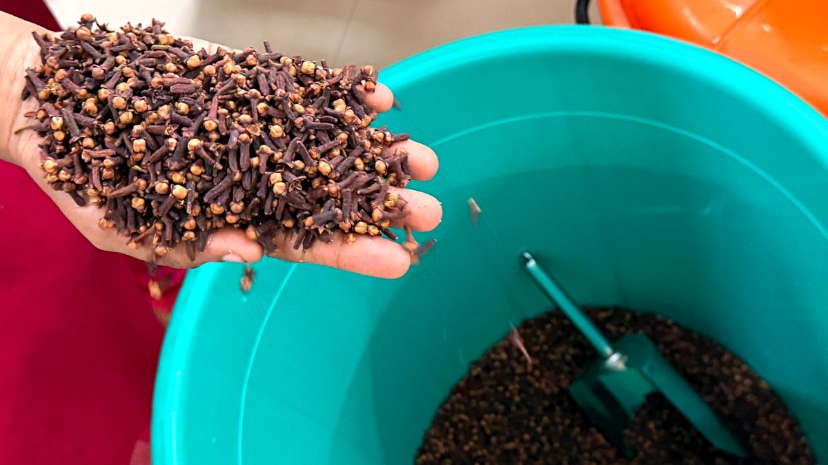 Eugenol obecny w goździkach działa przeciwzapalnie, przeciwbakteryjnie i przeciwbólowo.