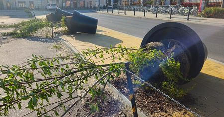 Nocny akt wandalizmu w centrum Lublina. Młodzi mężczyźni przewrócili ogromne donice z drzewami (zdjęcia)