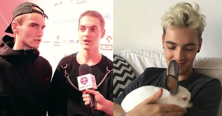 Pestka walczy z okrucieństwem wobec zwierząt: :"Jak to może sprawiać przyjemność? To muszą być ludzie chorzy psychicznie!"