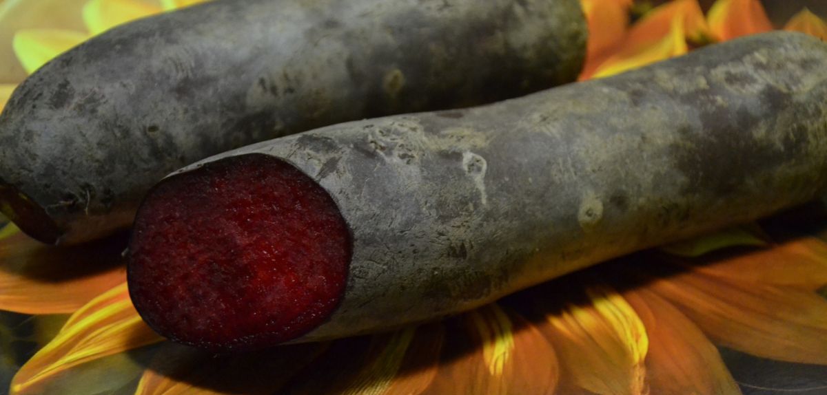 Zakwas z buraków. Zdrowy, smaczny i łatwy w przygotowaniu