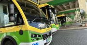 Zielona Góra: Będą darmowe autobusy na finał WOŚP. Wiele atrakcji
