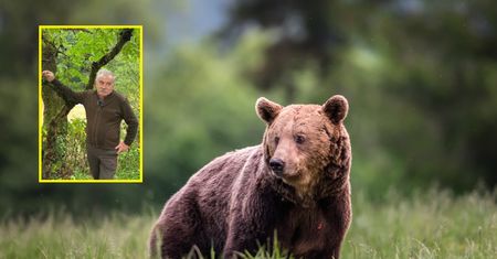 Leśnik ostrzega przed niedźwiedziami. "Najbardziej groźne są wtedy..."