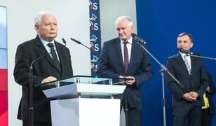 Koziński: Spór Kaczyńskiego, Gowina i Ziobry. Tak w polskich realiach wygląda efekt kobry