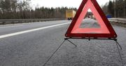 Łoś wybiegł wprost pod nadjeżdżający samochód na S7. Auto dachowało, kierowca wyszedł cało