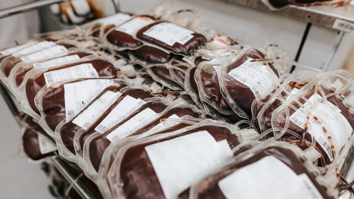 Czym się charakteryzuje tzw. "złota krew"?