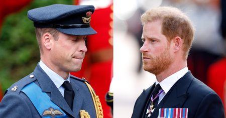 William NIE SPOTKA się z bratem! "Gdyby nadarzyła się okazja, by zobaczyć księcia Walii, Harry chętnie by z niej skorzystał"