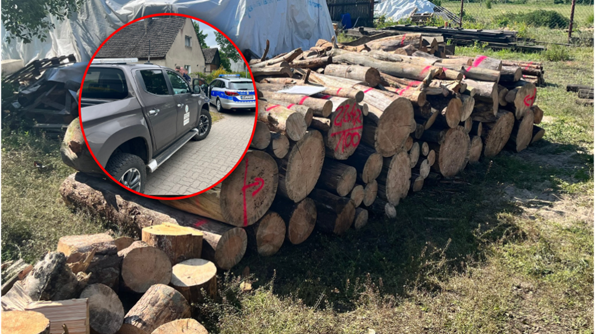 Policja zatrzymała sprawcę kradzieży drewna.
