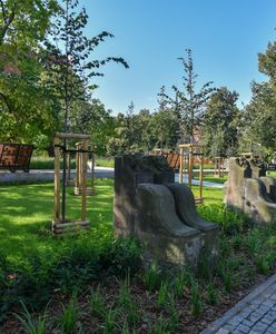 Wrocław. Zielona Kultura. Miasto łączy sztukę i ekologię