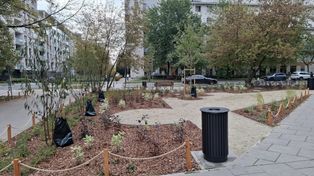 Warszawa: Chcą więcej zieleni na Żoliborzu. Wszystko zależy od głosów