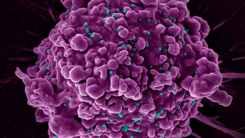 Mutacja zapewniająca odporność na HIV