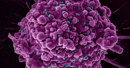 Mutacja zapewniająca odporność na HIV. Powstała kilka tysięcy lat temu
