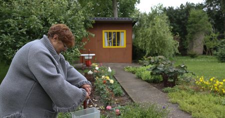 120 tys. za ogródek z altanką. Polacy ustawiają się w kolejce po działki