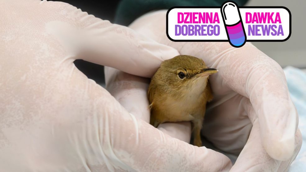 Zdjęcie ilustracyjne