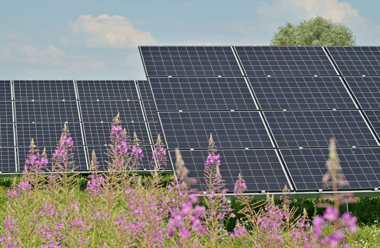 Photovoltaics on the ground. Photovoltaic installation with energy storage