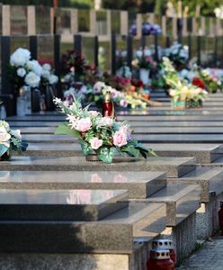 Stroiki na cmentarz 2022. Jakie kwiaty na groby bliskich na Wszystkich Świętych?