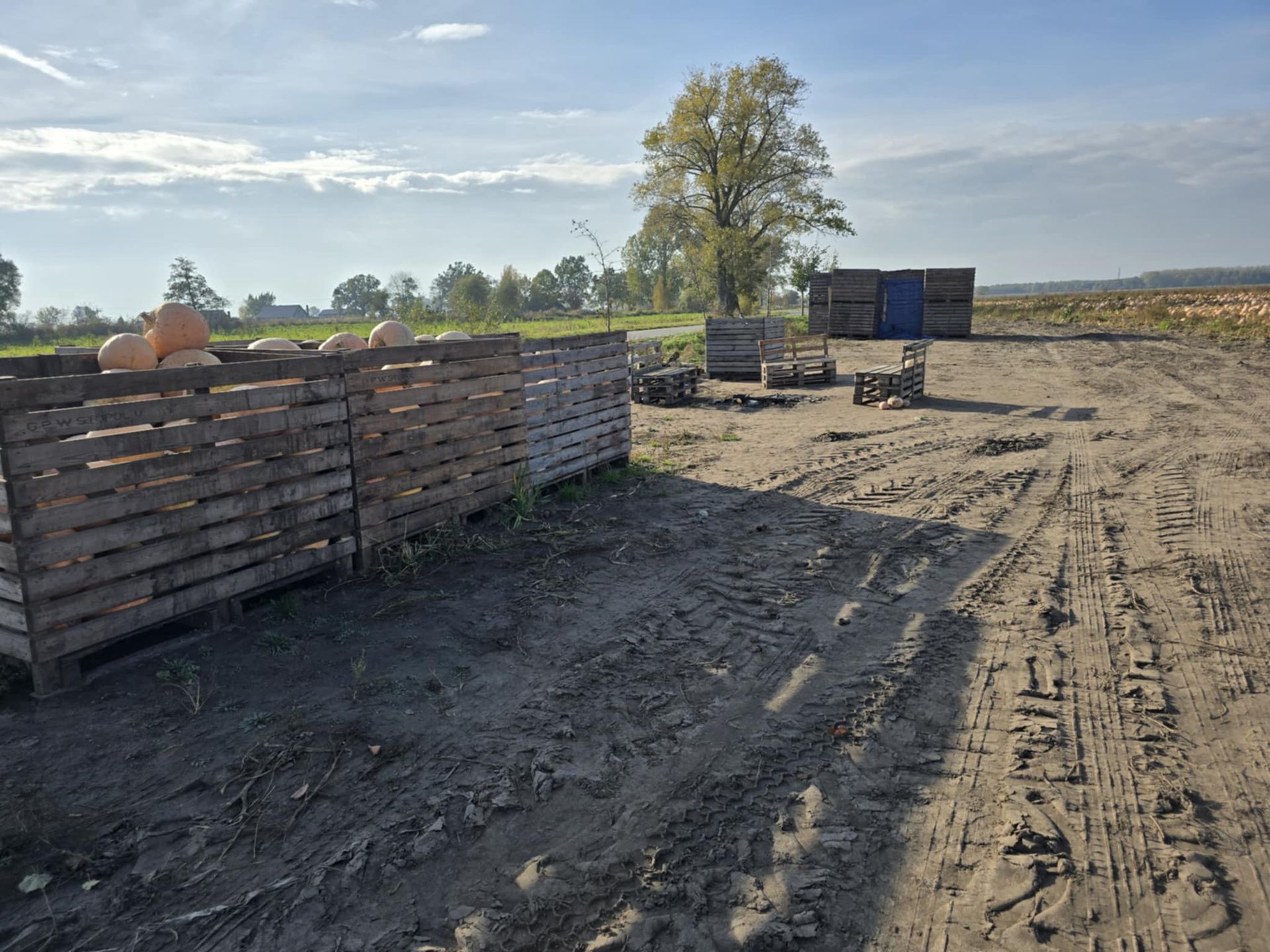 Infrastruktura przygotowana pod samozbiory