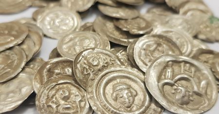 Pies wytropił skarb na Dolnym Śląsku. Określono wartość sensacyjnego odkrycia