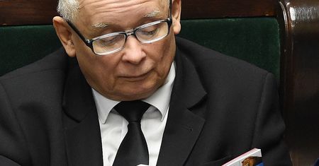 Piątka dla zwierząt. Wahanie w koalicji