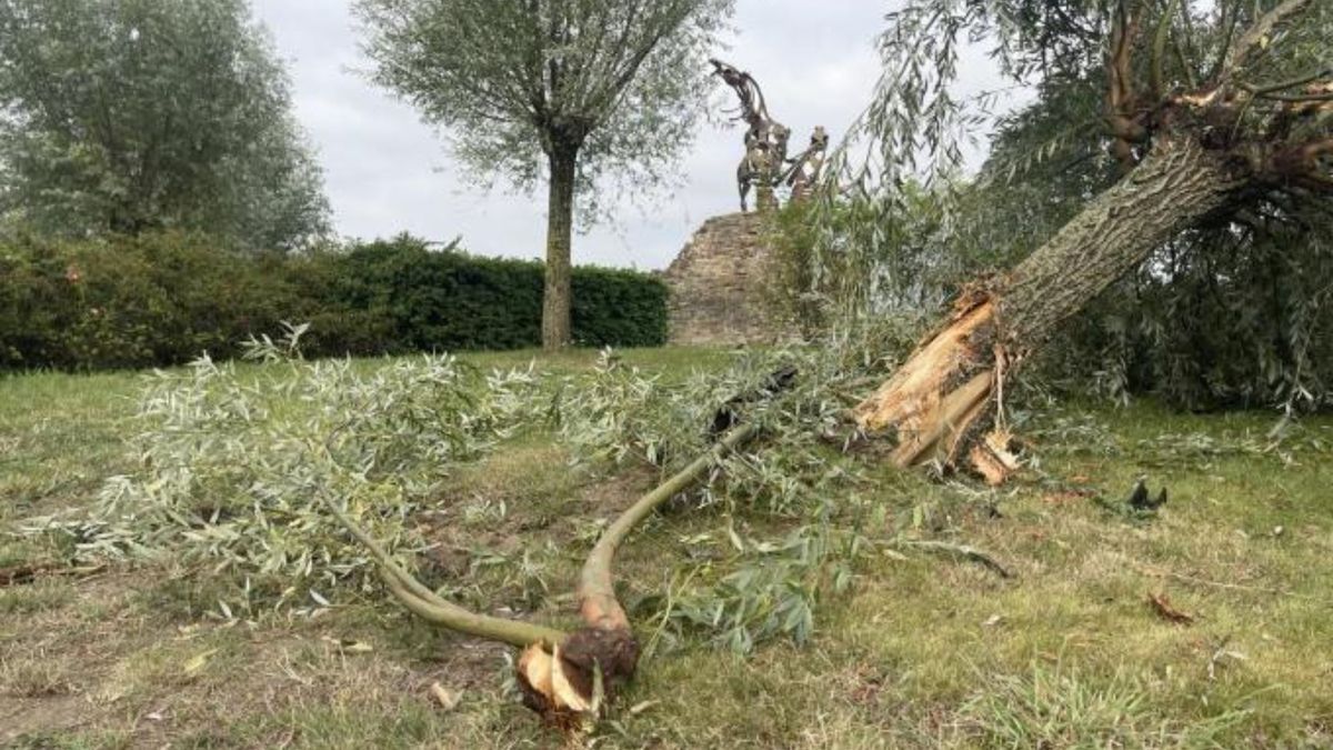 Polacy rozbili się samochodem w Belgii
