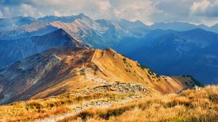 Ta roślina barwi Tatry na czerwono. I trzyma zbocza w ryzach