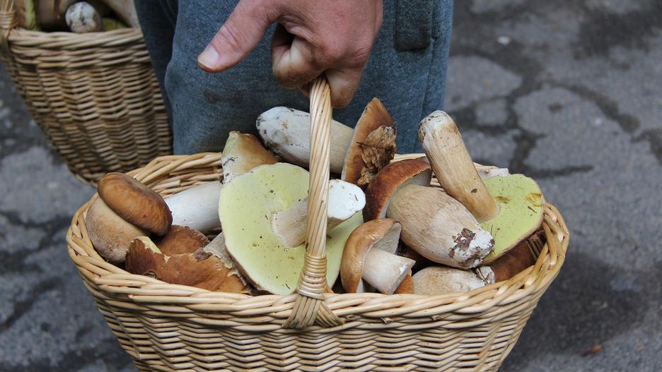 Zdjęcie ilustracyjne