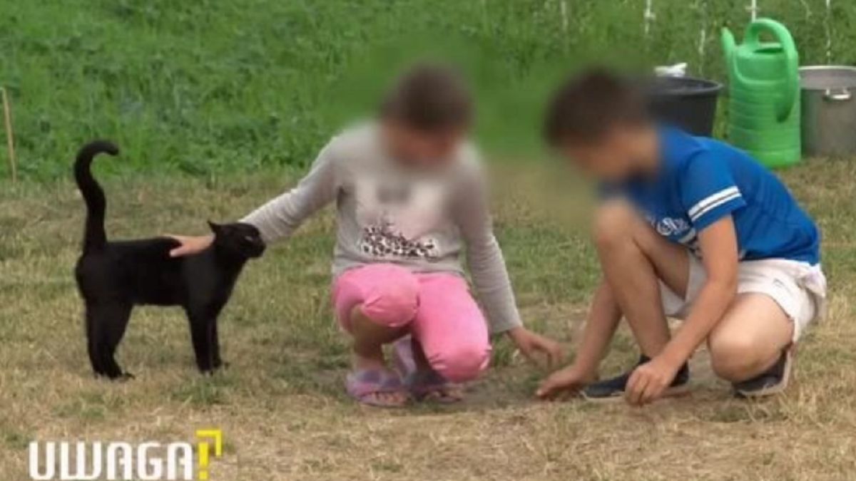 Dzieci napisały list do redakcji TVN.